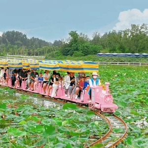 機(jī)械動(dòng)力類